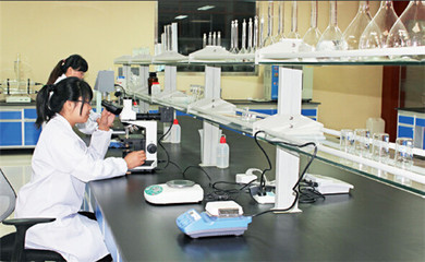 英科醫(yī)療再獲麥克森大獎，引領醫(yī)療器械互聯(lián)網(wǎng)信息服務新篇章